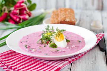 Cold beet soup on yogurt with egg, radishes and cucumbers