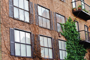 Naklejka premium London houses