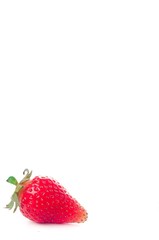 Close up sweet strawberries isolated