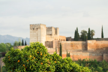 Obraz premium alhambra palace in spain