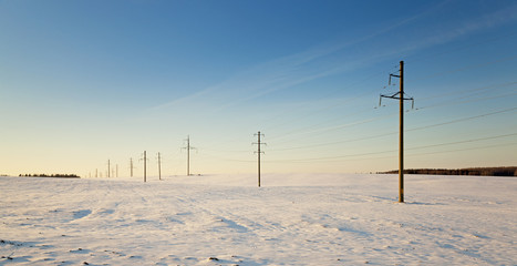 columns in the field  