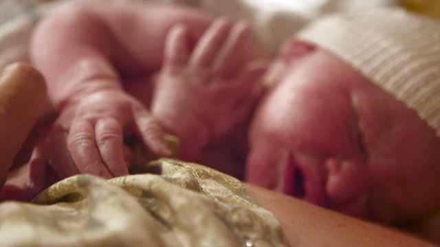 A newborn baby born just minutes before on her mothers chest