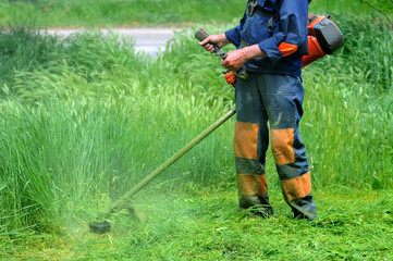 Man mows grass