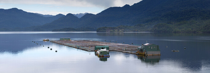 Breeding fish and seafood in Patagonia, Chile - Powered by Adobe