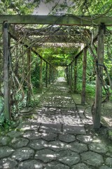 Alejka ogrodowa - pergola - HDR © agatop