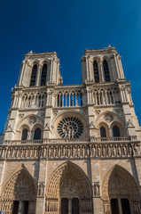 Fototapeta na wymiar Notre Dame Cathedral Paris