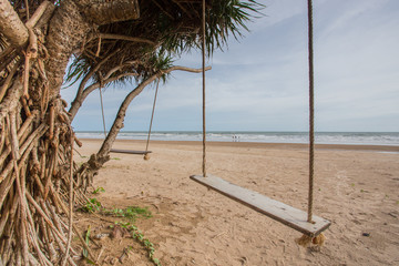 Two Swing under tree on Thailand ocean beach in sunny day