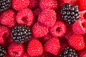 Raspberry and blackberry background