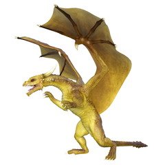 ドラゴン

