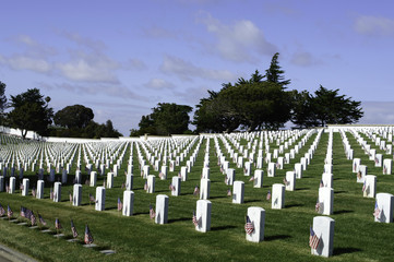 Flags and Grave Markers