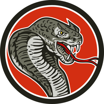 Cobra Viper Snake Circle Retro
