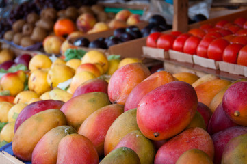 Mango Fruits for Sale in the Brazilian Market