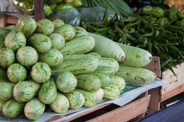 Fresh Green Zucchini Courgettes Cucumber