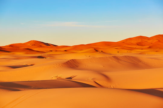 Sand dunes in the Sahara Desert © Ekaterina Pokrovsky