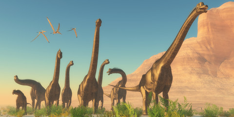 Brachisaurus Afternoon © Catmando