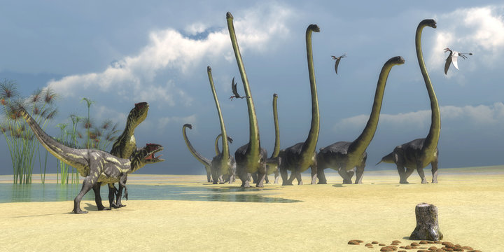 Allosaurus and Omeisaurus Dinosaurs