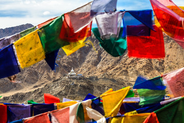 Aerial View of Shanti Stupa