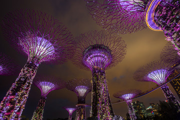 MARINA BAY Big Tree light show night