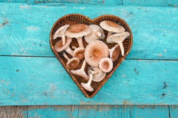edible mushrooms fungi in heart form wicker basket