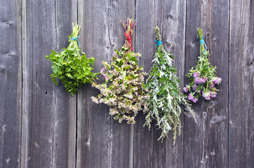 various summer time medical herbs on old wooden wall