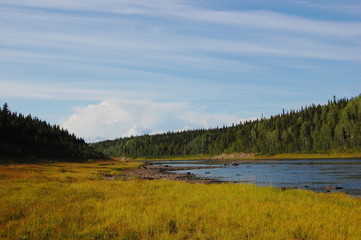 Landscape of the taiga river. Kola Peninsula.