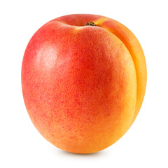 Apricot