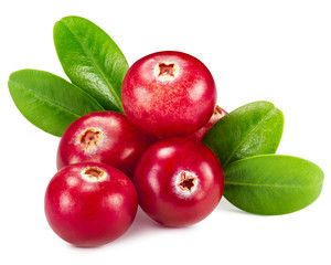 cranberries