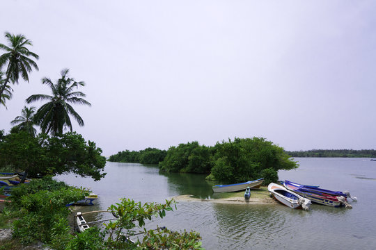 Estuary landscape in Batticaloa, Sri Lanka