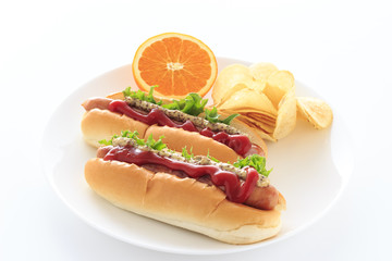 Hotdog on white background