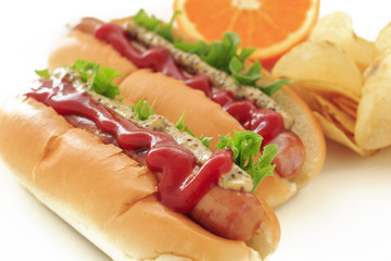 Hotdog on white background