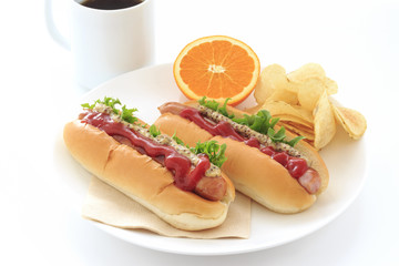 Hotdog on white background