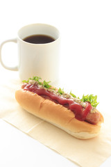 Hotdog on white background