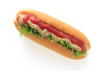 Hotdog on white background