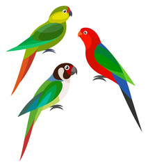 Obraz premium Stylized Birds - Parrots