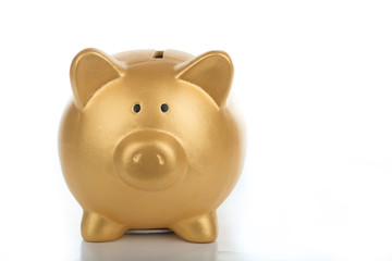 Piggy bank increasing your finance growing