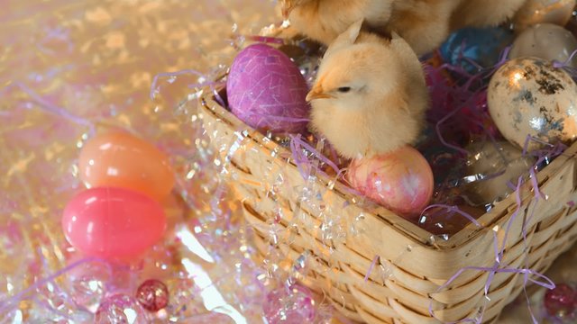 Medium shot of chicks in an Easter basket with eggs