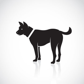 Vector images of dog on a white background
