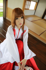 Japanese Women in Traditional Dress Miko