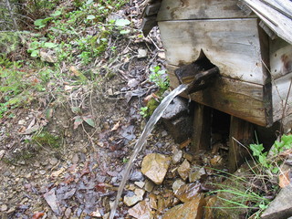 Весенняя вода в горах Карпат