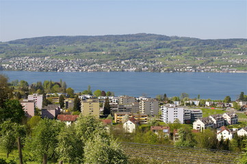 Blick auf Dorf Au, am Zürichsee