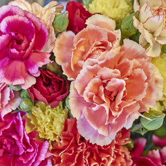 colorful carnation flowers bouquet closeup