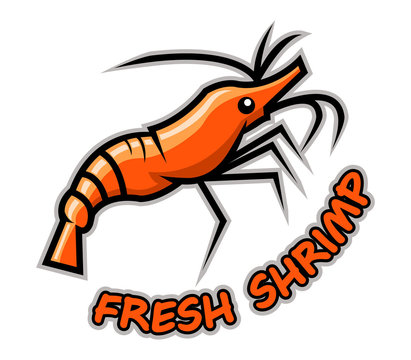 Red orange fresh shrimp. 