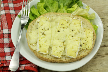 tartine au camembert 27052015