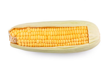 Sweet corn