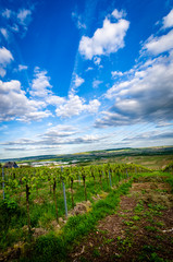 Obraz premium am Mittelrhein 26