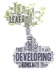 Bonsai theme -word cloud concept