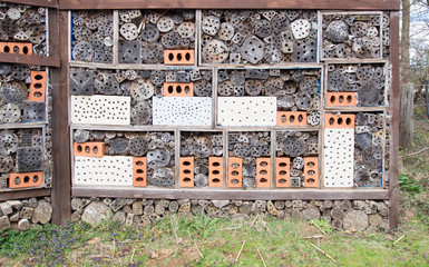 Insect House for insects to hibernate and live