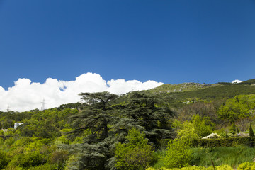 Clouds over mountains