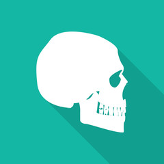 Orthopedic  symbol icon with long shadow.