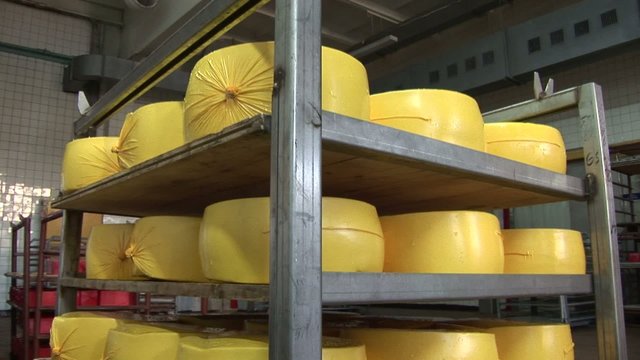 Plant for the production of cheese. cheese packaging